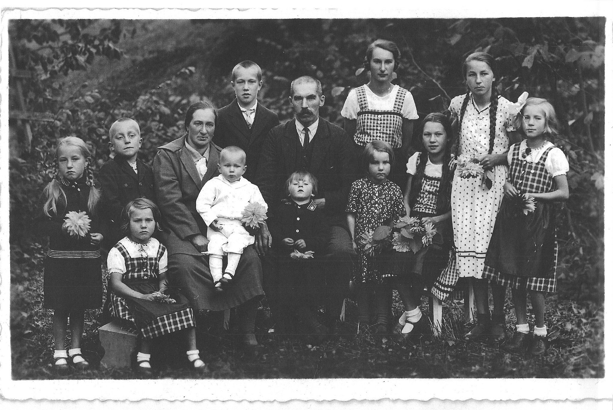 normales Bild vergrößern